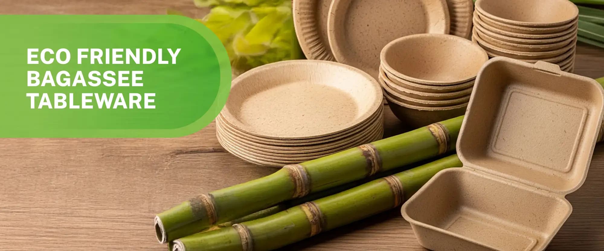 Bagasse Tableware Desktop Banner